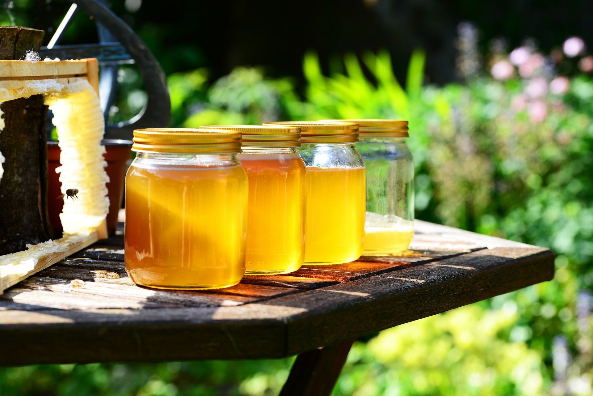 jars of honey on the table