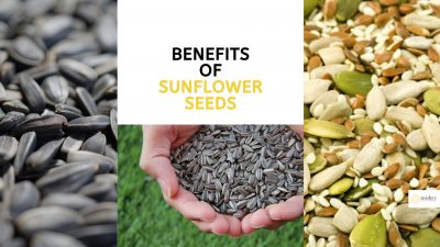 Sunflower Seeds Benefits-Exceptional Benefits Of Sunflower Seeds
