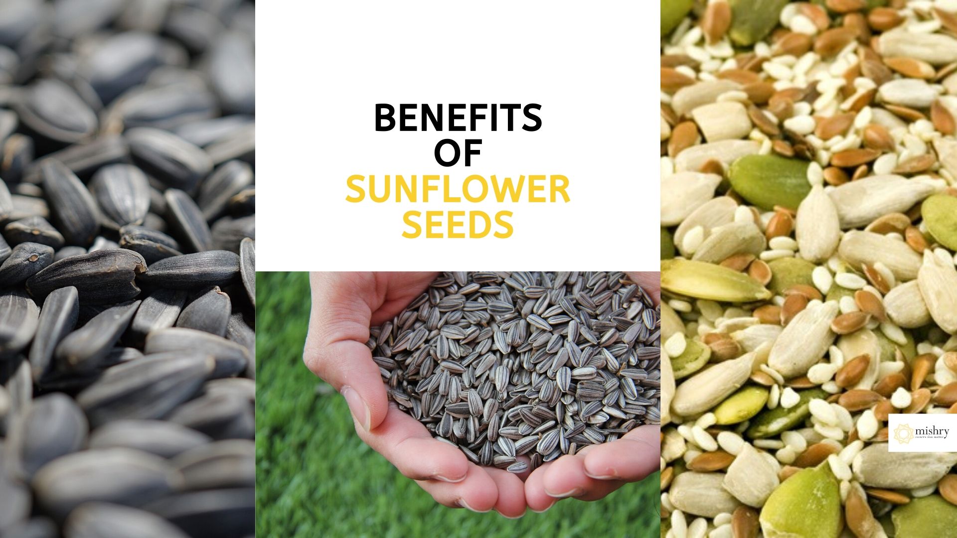Sunflower Seeds Benefits-Exceptional Benefits Of Sunflower Seeds