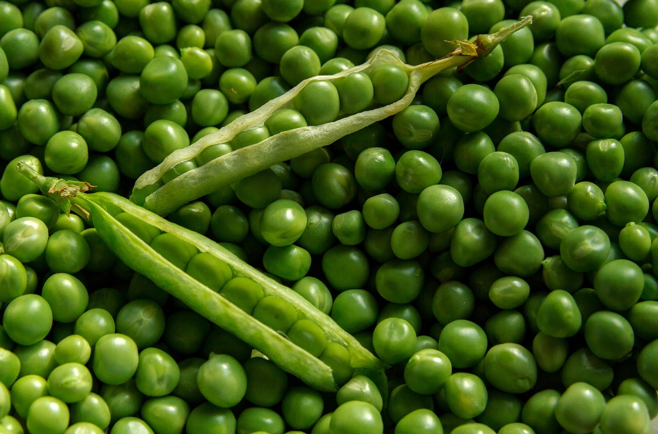 green vegetables for winter