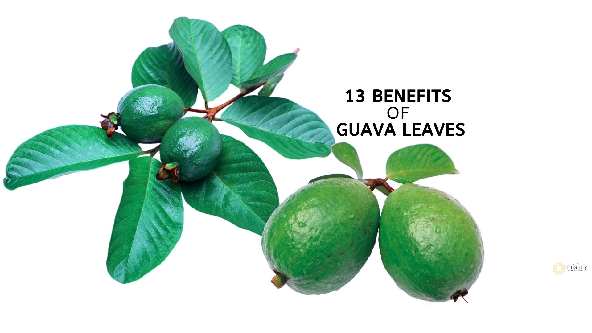Benefits Of Guava Leaves
