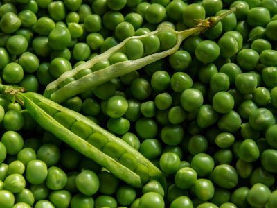 green vegetables for winter
