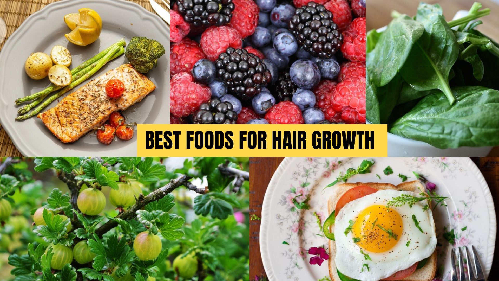 44 Foods For Healthy Hair Growth