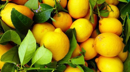 lemons as an air freshener
