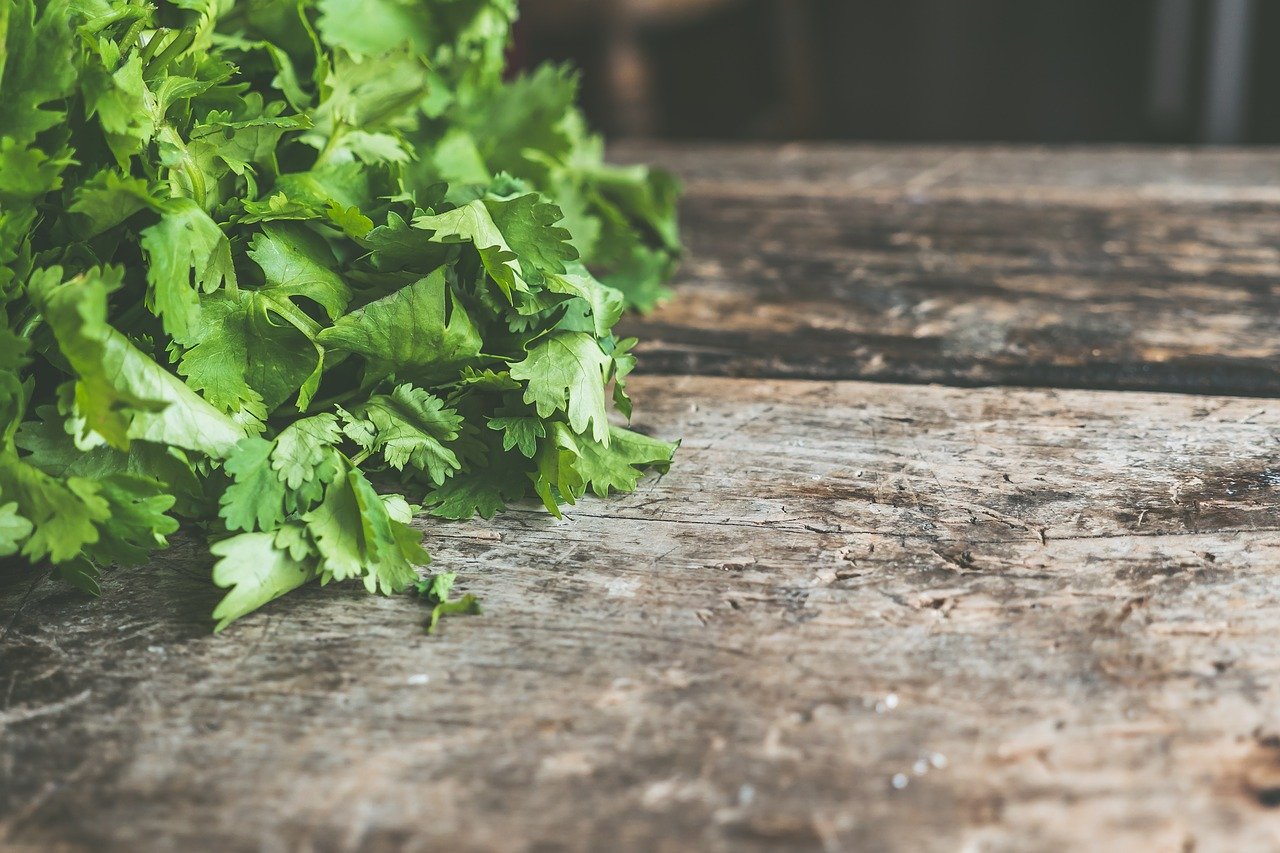 The Best Substitute For Fresh Cilantro: Herb Hacks Unleashed