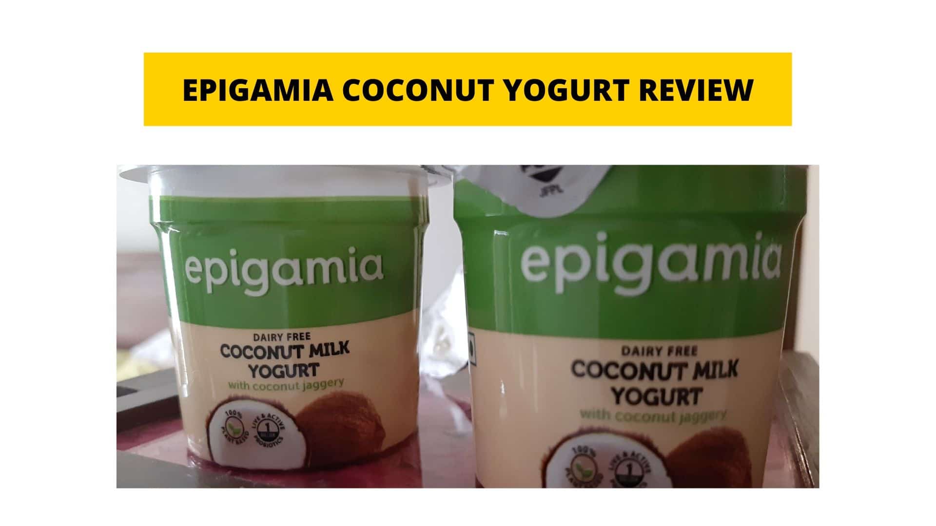 Epigamia Coconut Milk Yogurt review