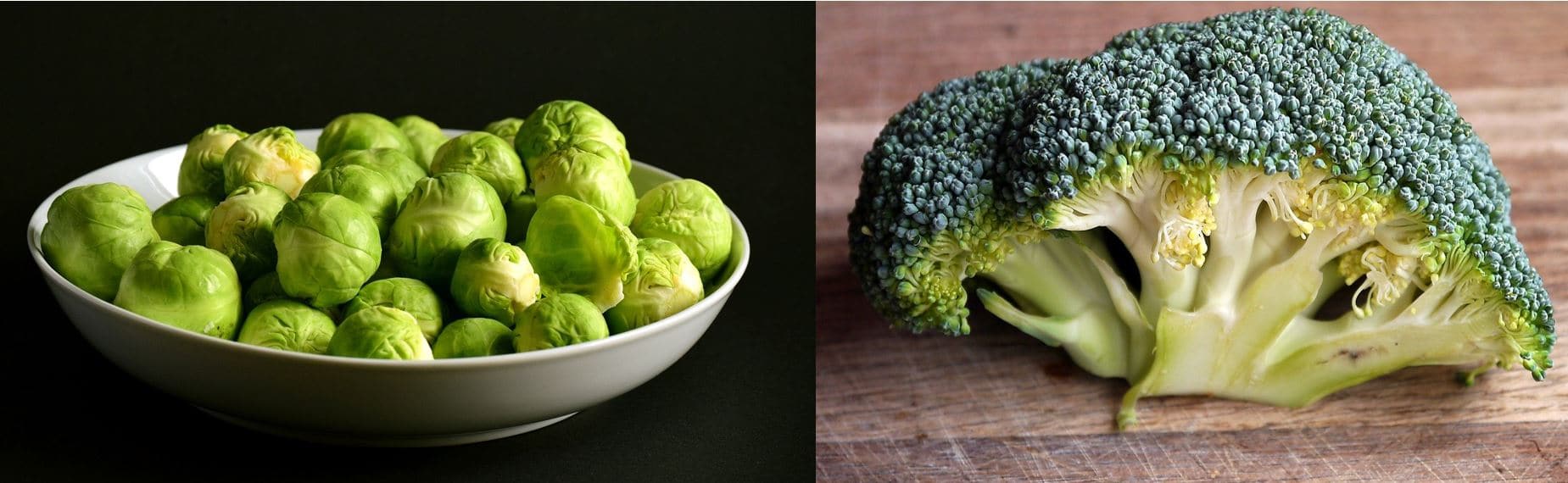 Brussel Sprouts vs Broccoli - A Well Drawn Parallelism Of The Two Essential Greens