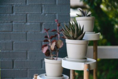Best Brands Of Plant Stands