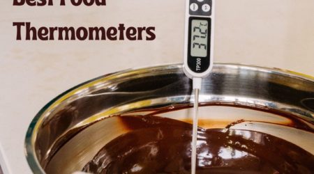 best food thermometers