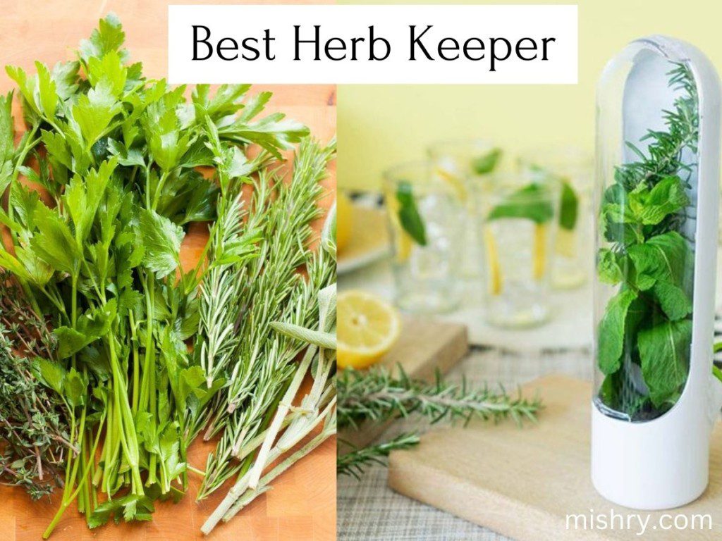 Best Herb Keeper